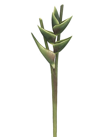 38" Hawaiian Heliconia Spray  Green (pack of 6)