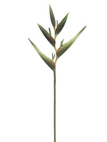 32" Heliconia Spray  Green (pack of 12)