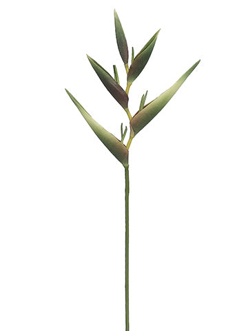 32" Heliconia Spray  Green (pack of 12)