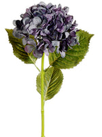 Blue Purple