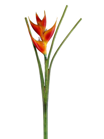 42" Heliconia Spray  Flame (pack of 6)