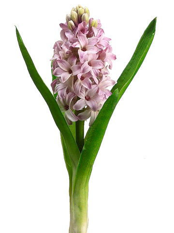 10.5" Hyacinth Spray  Lavender (pack of 12)