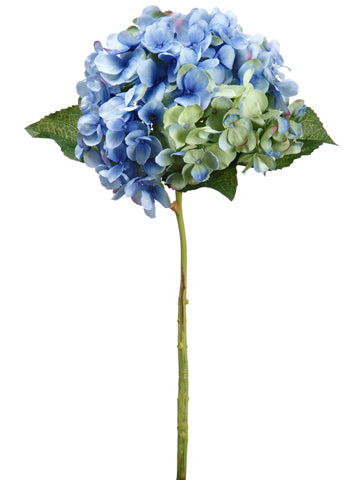 24" Hydrangea Spray  Helio Lime (pack of 12)