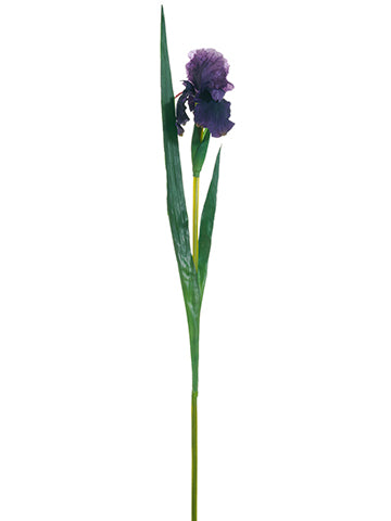 37" Bearded Iris Spray  Purple (pack of 12)