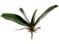 8in