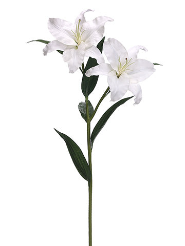 36" Casablanca Lily Spray  White (pack of 4)