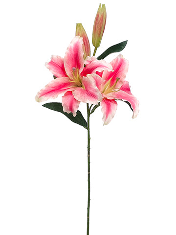 Cerise Pink