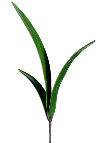 20" Amaryllis Leaf Spray  Green (pack of 12)