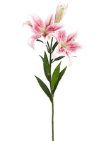 Two Tone Pink
