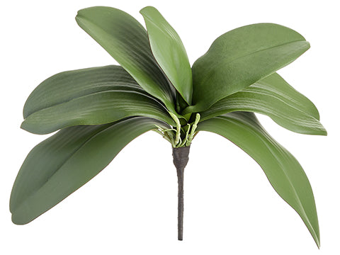 12" Soft Phalaenopsis Orchid Leaf Plant With 7 Leaves Green (pack of 12)