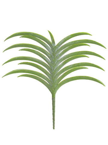 18" Vanda Orchid Leaf Spray  Green (pack of 6)