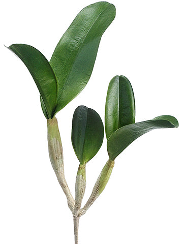 15" Cattleya Orchid Leaf Plant With 5 Leaves Green (pack of 6)
