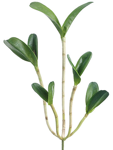 22" Cattleya Orchid Leaf Plant With 10 Leaves Green (pack of 6)