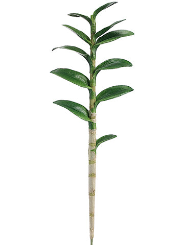 29" Dendrobium Orchid Leaf Plant With 11 Leaves Green (pack of 6)