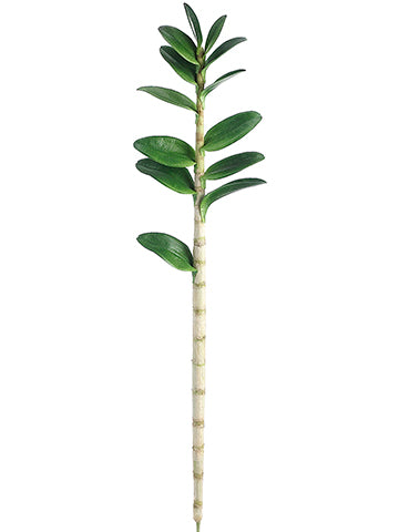 43" Dendrobium Orchid Leaf Plant With 13 Leaves Green (pack of 6)