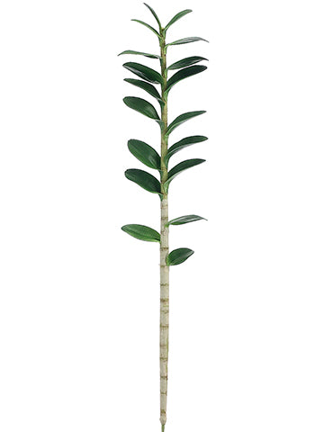 46.5" Dendrobium Orchid Leaf Plant With 18 Leaves Green (pack of 6)