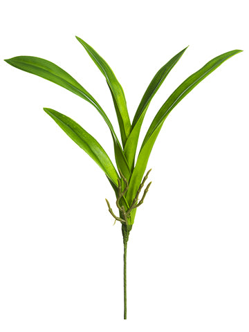 19.5" Soft Vanda Orchid Leaf Plant Green (pack of 12)