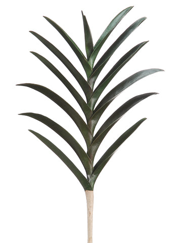 19" Vanda Orchid Leaf Plant with 13 Leaves Green (pack of 12)