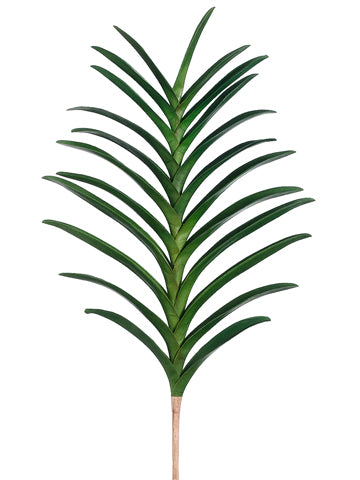 31" Vanda Leaf Plant with 23 Leaves Green (pack of 6)
