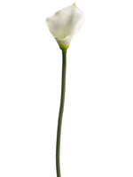 30.5" Calla Lily Spray  Cream Green (pack of 12)
