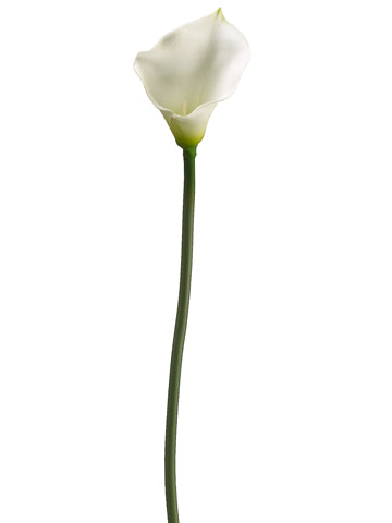 30.5" Calla Lily Spray  Cream Green (pack of 12)