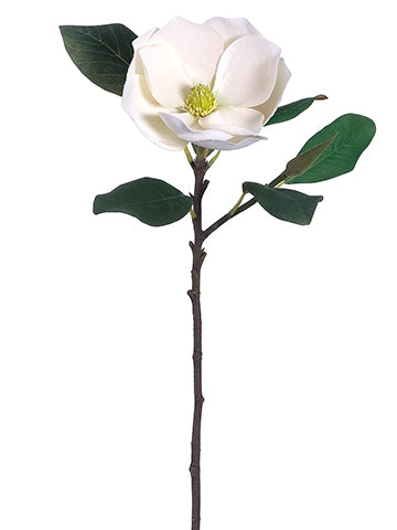 31" Magnolia Spray  Cream (pack of 12)
