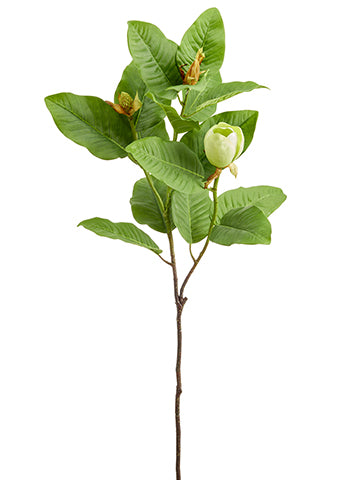 42" Magnolia Bud Spray  Green (pack of 12)