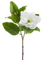 26" Magnolia Spray  White (pack of 12)