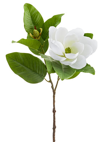 26" Magnolia Spray  White (pack of 12)