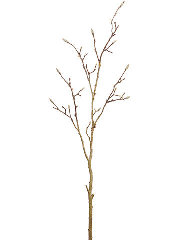 65" Magnolia Bud Branch  Brown (pack of 6)