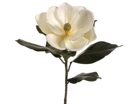 22" Magnolia Spray  Cream (pack of 12)