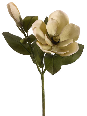 27" Vintage Romance Magnolia Spray Green Eggplant (pack of 12)
