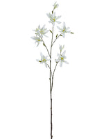 42.5" Japanese Magnolia Spray  White (pack of 12)
