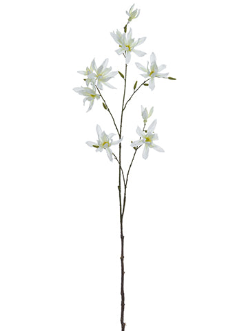 42.5" Japanese Magnolia Spray  White (pack of 12)