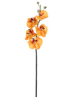 31" Phalaenopsis Orchid Spray  Apricot Orange (pack of 6)
