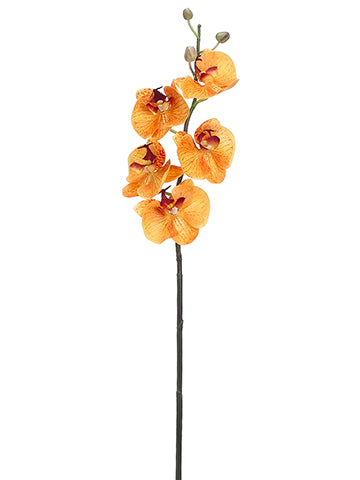 31" Phalaenopsis Orchid Spray  Apricot Orange (pack of 6)