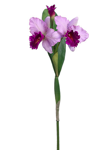 27" Cattleya Orchid Spray  Two Tone Orchid (pack of 12)