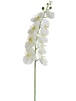 57.5" Phalaenopsis Orchid Spray White Green (pack of 6)