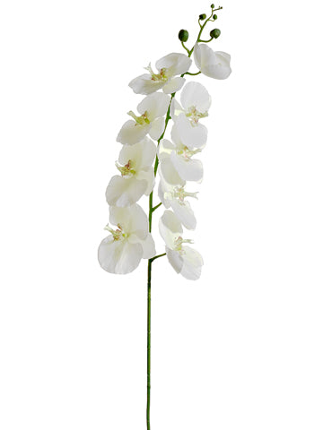 57.5" Phalaenopsis Orchid Spray White Green (pack of 6)
