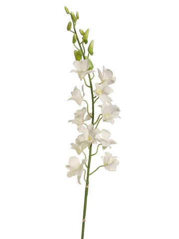 37" Dendrobium Orchid Spray  Cream (pack of 6)