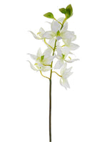 24" Swan Orchid Spray  Cream Green (pack of 12)