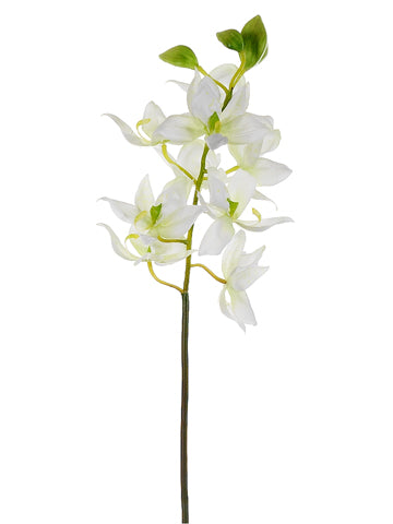24" Swan Orchid Spray  Cream Green (pack of 12)