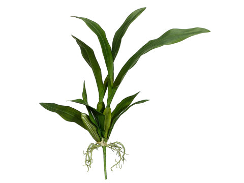 23" Oncidium Orchid Leaf Plant Green (pack of 12)