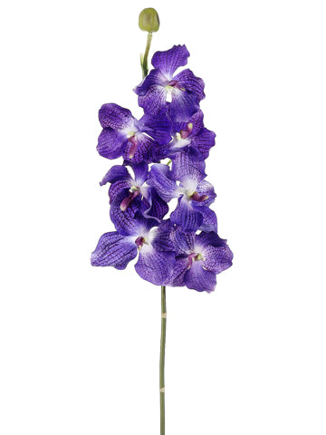 33" Vanda Orchid Spray with 7 Flowers and 1 Bud Purple (pack of 6)
