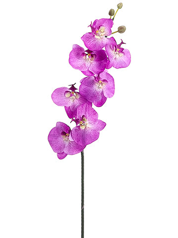 44" Phalaenopsis Orchid Spray With 7 Flowers And 3 Buds Orchid (pack of 4)