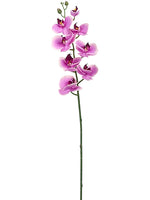 30" Phalaenopsis Orchid Spray  Orchid (pack of 12)