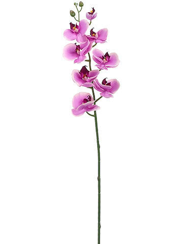 30" Phalaenopsis Orchid Spray  Orchid (pack of 12)