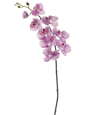 42" Phalaenopsis Orchid Spray  Two Tone Violet (pack of 12)
