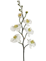 32" Phalaenopsis Orchid Spray  Cream Green (pack of 12)