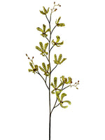 41.5" Dendrobium Orchid Spray  Green Burgundy (pack of 12)